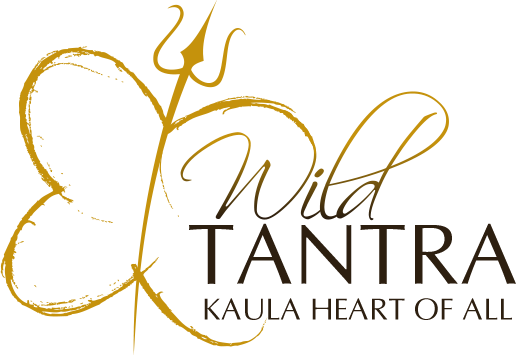 WildTantra logo